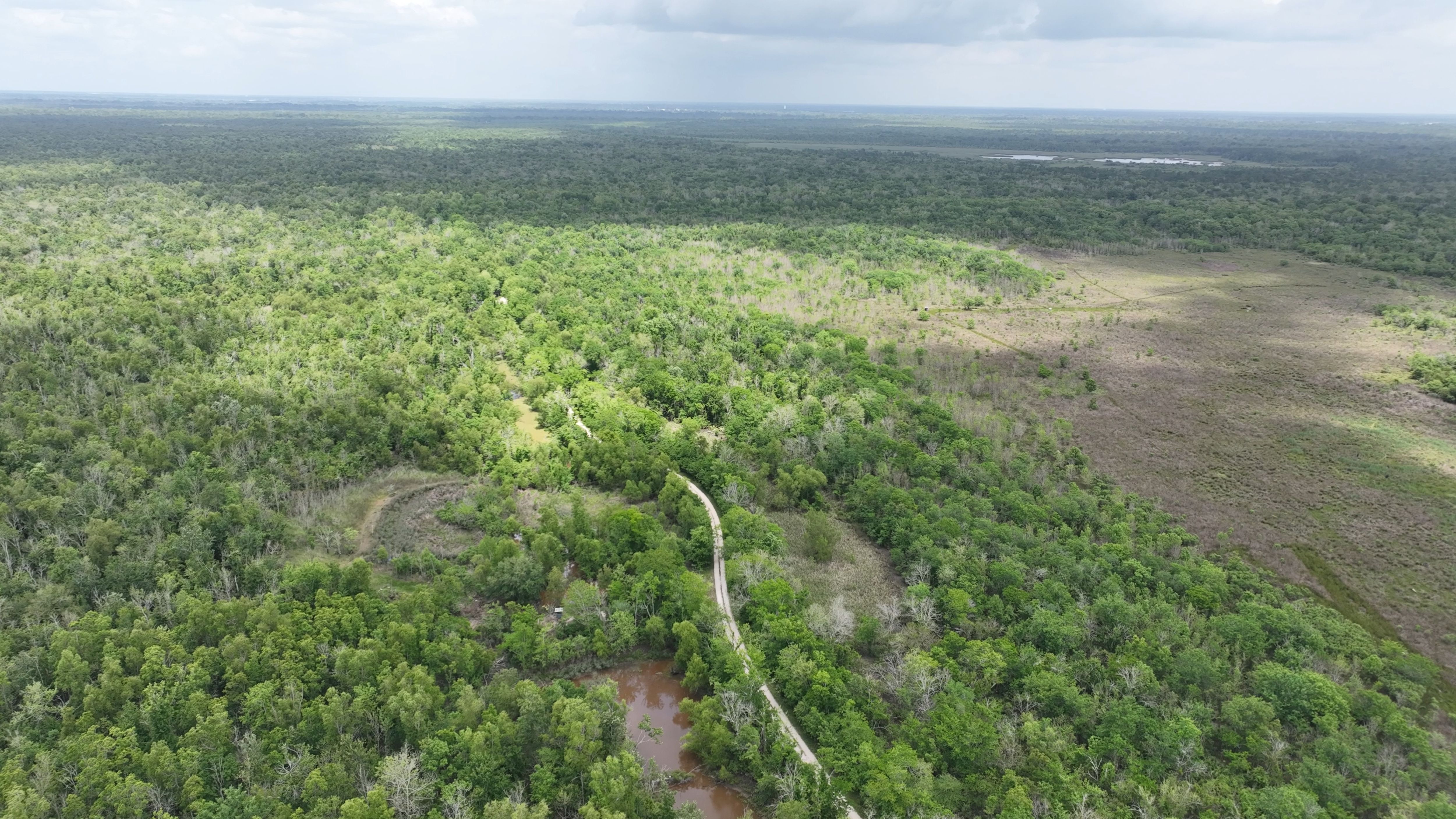 Listing Photo: Louisiana Spanish Lake Hunting and Fishing